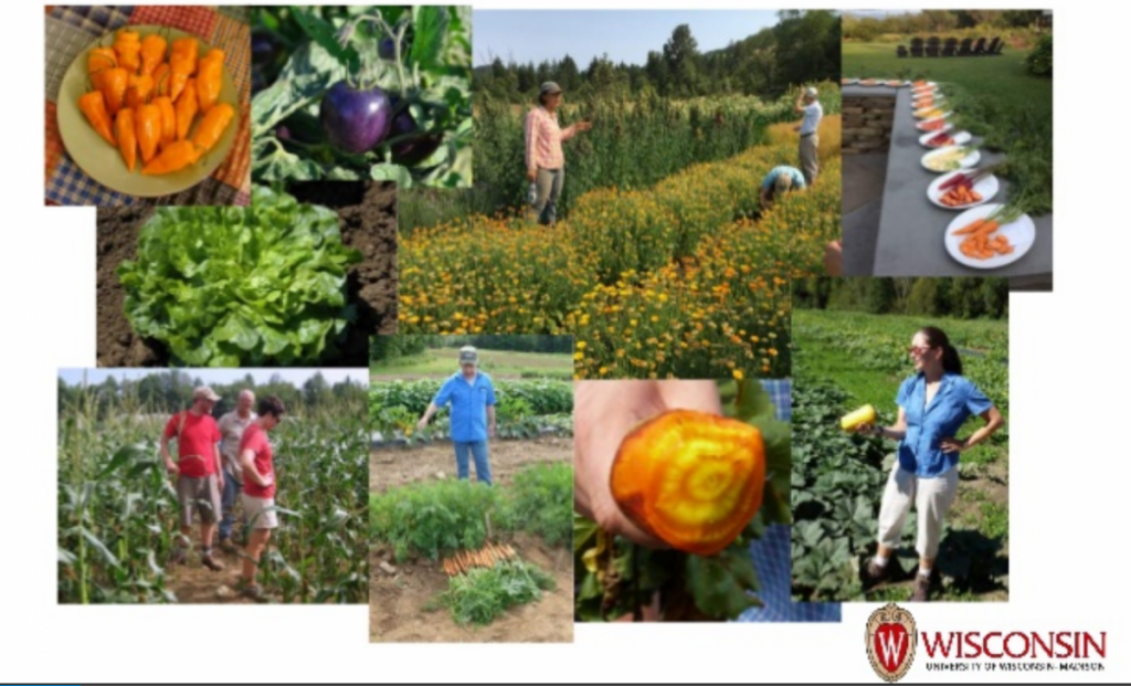Field images of tasting