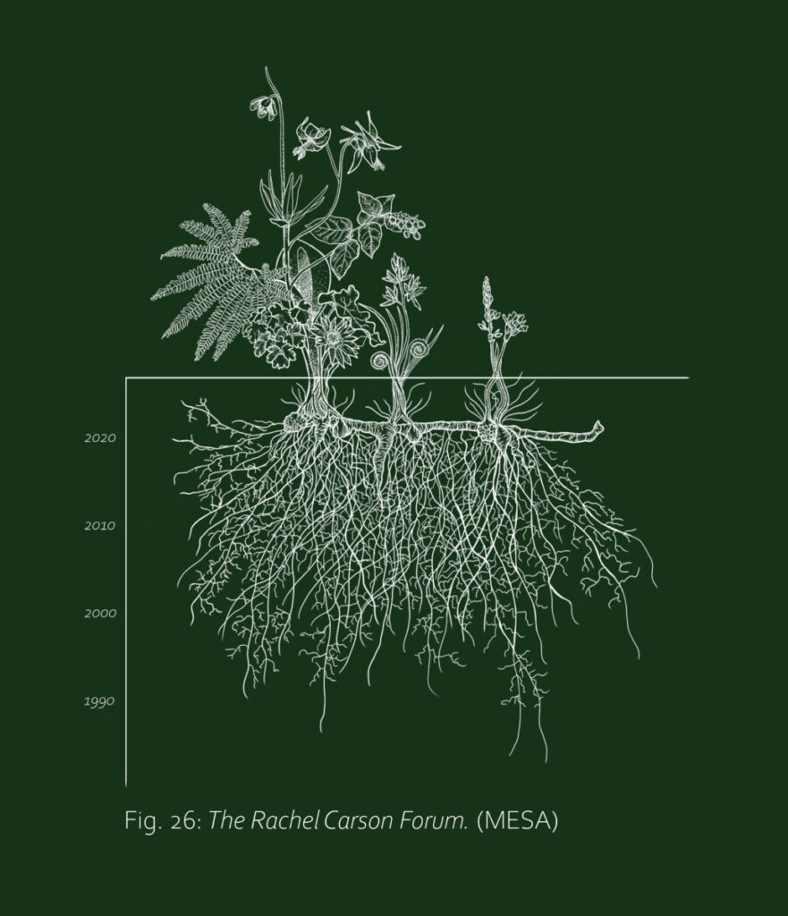 Custom art created by local artist Anneke Wilder for the 2026 Rachel Carson Forum