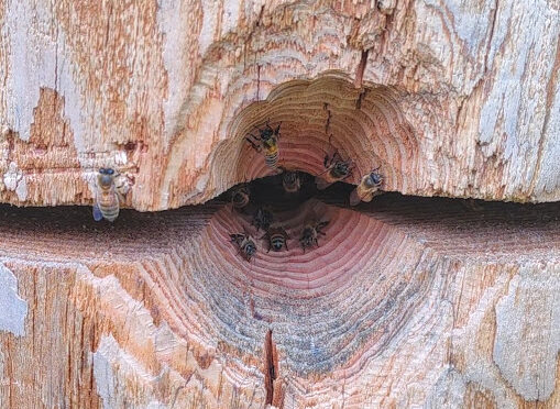Set Up  – Week VIII