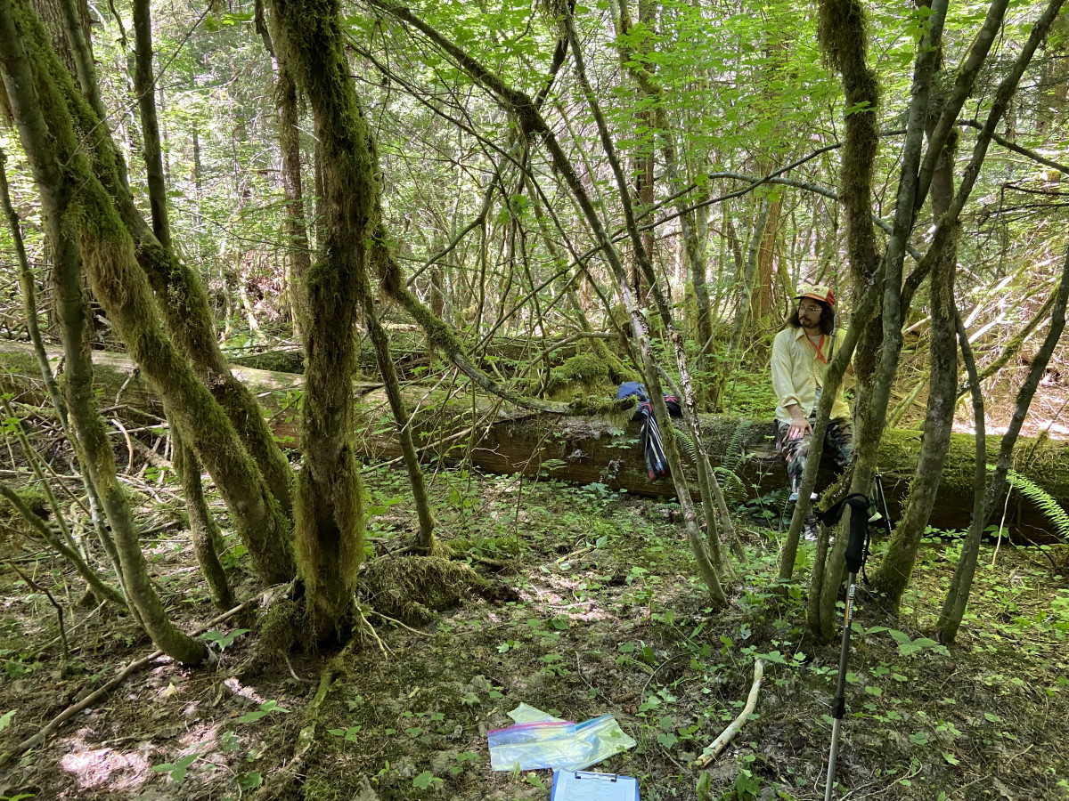 PSERAI on the Dingford Creek Trail…