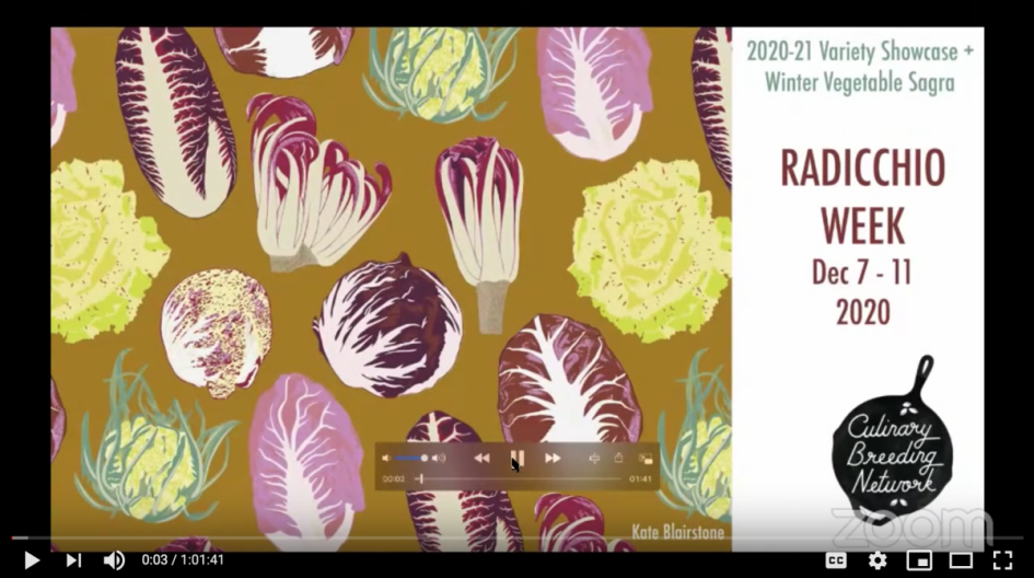 radicchio image