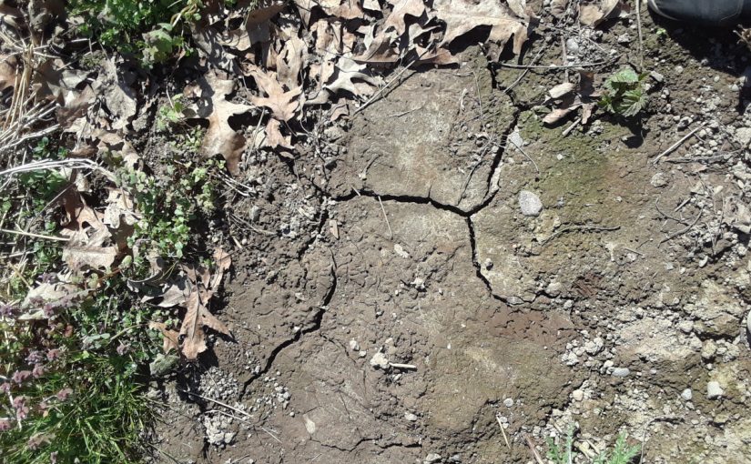 Soil Science