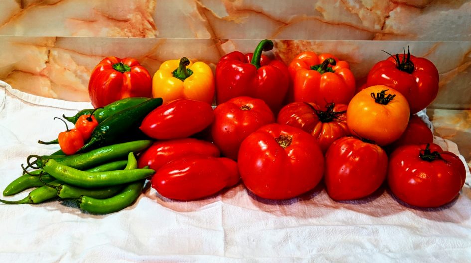 tomatoes for salas