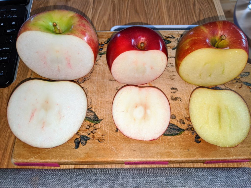 apple sliced